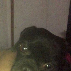 Meet your Posher, Phyllis